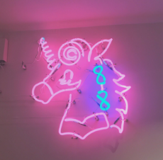 88 neon pony.jpg