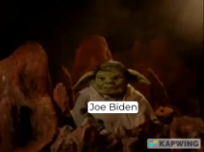 Biden is a puppet.mp4