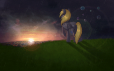 1440x900.gif