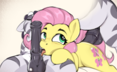 flutterzeeb.png