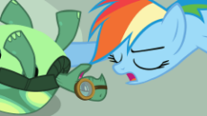 225387__safe_screencap_rainbow dash_tank_just for sidekicks_affection_animated_blushing_cute_drool_face licking_gritted teeth_heart_licking_nuzzling_on.gif