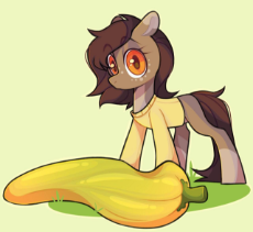 7419875__safe_artist-colon-missyfurr_imported+from+derpibooru_oc_oc+only_oc-colon-pelmeshka_earth+pony_pony_clothes_solo_surprised_sweater_wi.jpg