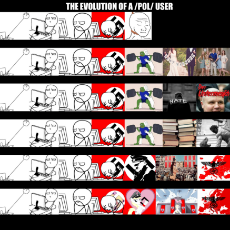 Evolution of a pol user to….png