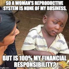 so-womans-reproductive-system-is-none-of-my-business-but-100-percent-my-financial-responsibility.png
