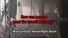 israel_propaganda_volunteers.webm