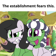 3601875.jpeg