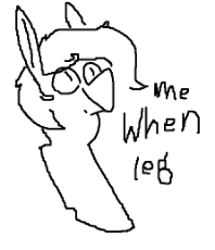 image-6.png