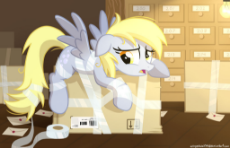 DapiBox.jpg