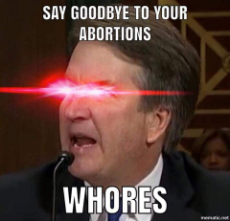 say_goodbye_to_your_abortions_whores.jpg