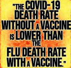 covid-19-death-rate-without-a-vaccine-lower-than-flu-with-a-vaccine.jpg
