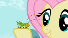 Fluttershy_with_cricket_S2E07.png