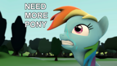 need more pony.png