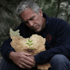 jefffy boooiii.png