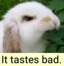 1566447590961.jpg