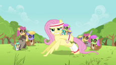 Fluttershy-Push-Ups-my-little-pony-friendship-is-magic-37420546-1280-720 (2).png