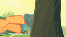 applebucking.gif