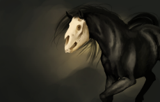 skull_horse_by_luna133-d4tb4j1.png