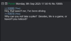 ninjaz fatigue 1.JPG