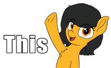 23_MLPOL_FIlly Anon_This_Heil_Edit_Orange_Anonymous_happy_Smiling.png