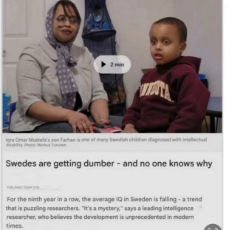 last night in Sweden IQ .jpg