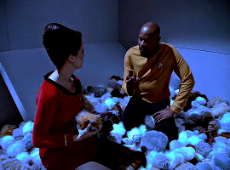 tumblr_4e8c606a95ad15eea95e847131f6dbe2_e0d123d0_540.gif