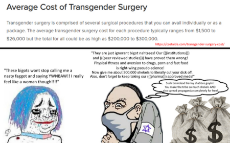 transgender.png