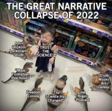 great-narrative-collapse-2022-mass-psychosis-masks-useless.jpeg