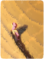 3699992__safe_artist-colon-glazirka_derpibooru+import_fluttershy_bird_pegasus_pony_g4_food_image_overhead+view_png_solo_wheat.png