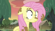 1880122__safe_screencap_fluttershy_a health of information_animated_cute_dirt_female_floppy ears_gif_laughing_mare_mud_pegasus_pony_sheepish grin_swamp.gif