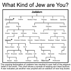 What Kind of Jew are You.png