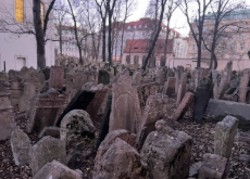 IMG_7923.jpeg