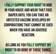fully-support-right-to-hide-in-house-wear-face-diaper-take-untested-vaccine-support-my-right-to-do-none.png