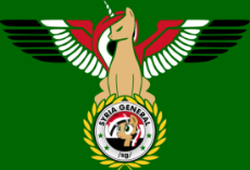 Official MLSG Flag (No Alpha).png