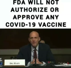 FDA will not authorize or approve any covid-19 vaccine.mp4