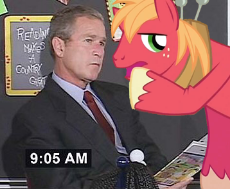 118451.png