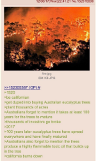 Fire_California_Aussies.jpg