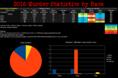 2016 race and murder statistics.png