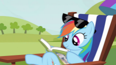 1609073__safe_screencap_rainbow+dash_pony_too+many+pinkie+pies_book_cropped_daring+do+and+the+sapphire+statue_derpibooru+import_reading_relaxing_solo_s.jpeg