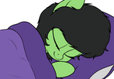 sleepingfilly.png