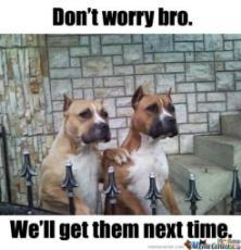 Dont-Worry-Bro-Well-Get-Them-Next-Time_o_101159.jpg