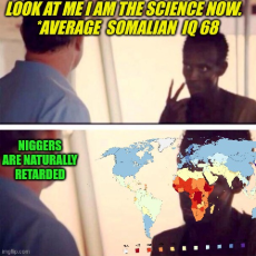 free range niggers.jpg