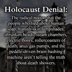 holocaust denial is crazy.jpg