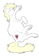 arypreg.png