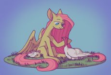 7205955__dead+source_safe_artist-colon-starstation_imported+from+derpibooru_fluttershy_bird_pegasus_pony_turkey.png