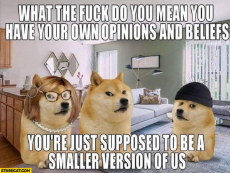 what-do-you-mean-you-have-your-own-opinions-and-beliefs-youre-just-supposed-to-be-a-smaller-version-of-us-dog-doge.jpg