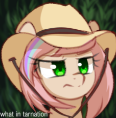 1493344__safe_artist-colon-momomistress_oc_oc only_oc-colon-sweet skies_bust_female_hat_mare_meme_ponified_pony_portrait_solo_what in tarnation.png