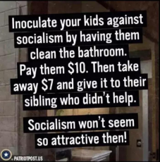 lesson-teach-kid-socialism-clean-bathroom-give-money-sibling.jpeg