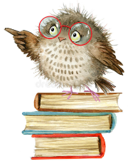 owl-cute-owl-watercolor-forest-bird-school-books-illustration-cartoon-bird-80665647.jpg