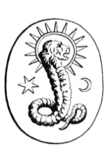 310-921803341.jpg