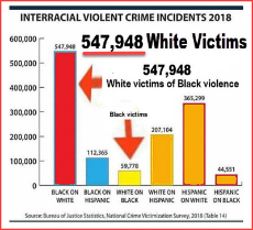 race-violence-stats.jpg